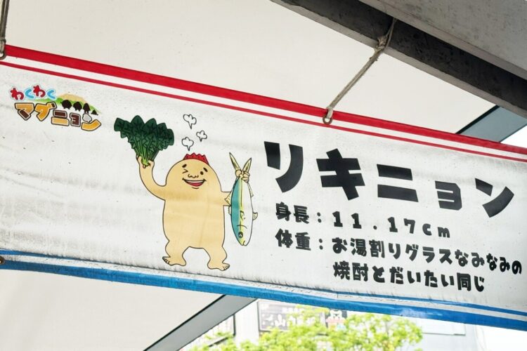 鹿児島市のマグマシティPRキャラクター #リキニョン 。私がモデルではございません(笑)